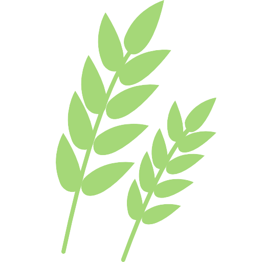 Icon Image