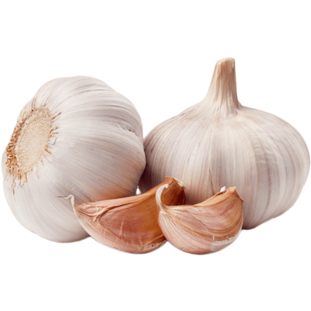Dehydrated Garlic Image